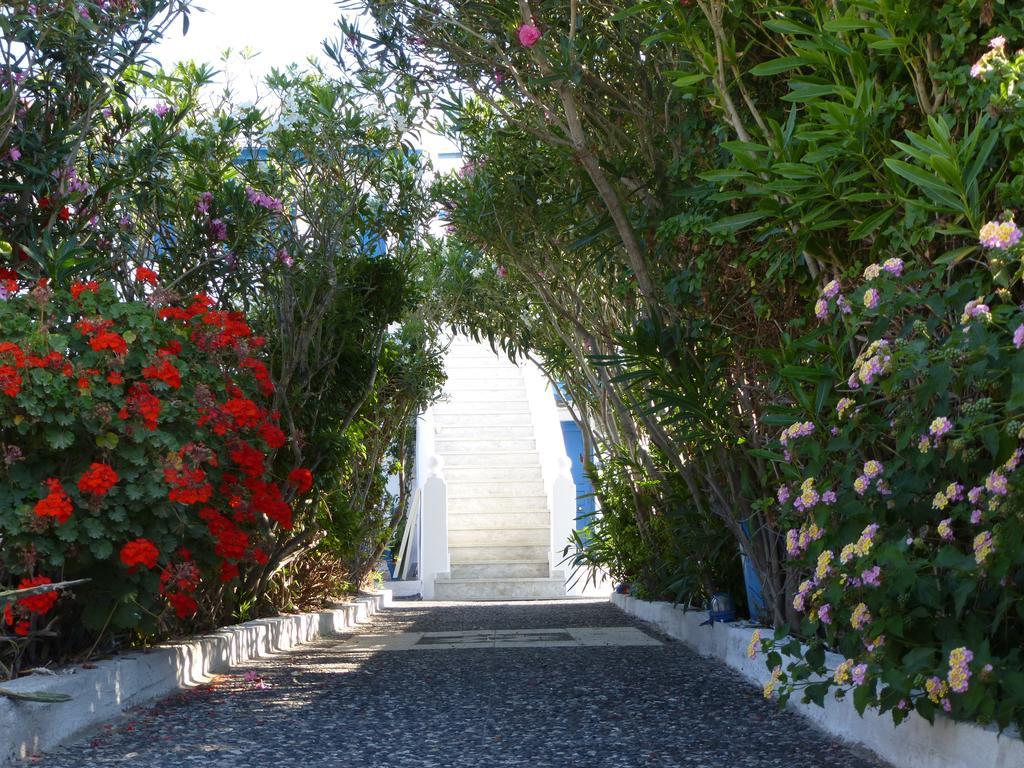 Thira'S Dolphin Aparthotel Akrotírion Exterior foto
